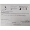 Image 2 : 10K(1.85G), SAPPHIRE (6.7CT)EARRING, INSURANCE APPRAISAL VALUE $1400