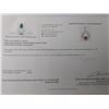 Image 2 : 10K(0.97G), RUBY (1CT)PENDANT, APPRAISED INSURANCE VALUE $1175
