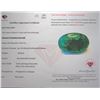 Image 3 : 18.42 CT CERTIFIED COLOMBIAN EMERALD GEMSTONE ($27,630 APPRAISAL, APPRAISAL NOT GUARANTEED)