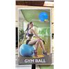 Image 2 : CASE OF GYM BALLS 55CM - 65CM