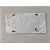 Image 3 : DODGE License plate