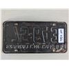 Image 2 : 1960 SASKATCHEWAN License plate