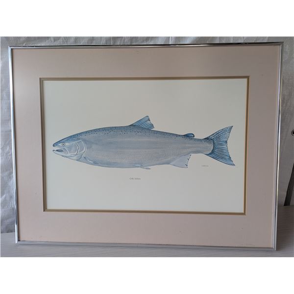 COHO SALMON Painting by David Denbigh