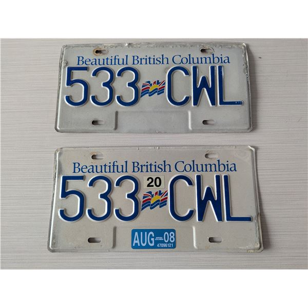 2008 BEAUTIFUL BRITISH COLUMBIA License Plate