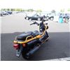 Image 3 : 2005 Honda Big Ruckus