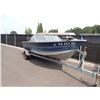 Image 2 : 1988 Blue Fin Boat