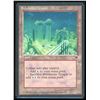 Image 1 : Magic the Gathering Svyelunite Temple Fallen Empires