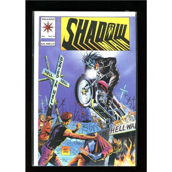 Valiant Shadow #14