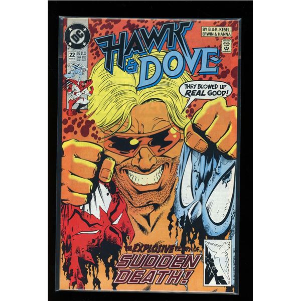 DC Hawk & Dove #22