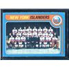 Image 1 : 1979-80 O-Pee-Chee #253 Islanders Team Checklist