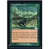 Image 1 : Magic the Gathering Carpet of Flowers The List