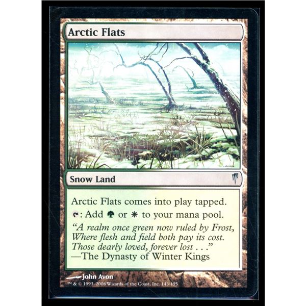 Magic The Gathering Arctic Flats Coldsnap