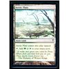 Image 1 : Magic The Gathering Arctic Flats Coldsnap