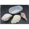 Image 1 : Lot Of 2 Conch Shells & a Seashell With Tin