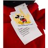 Image 3 : A Walt Disney World Sorcerer Mickey Plush.
