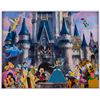 Image 2 : A Framed Walt Disney World Pin Set.