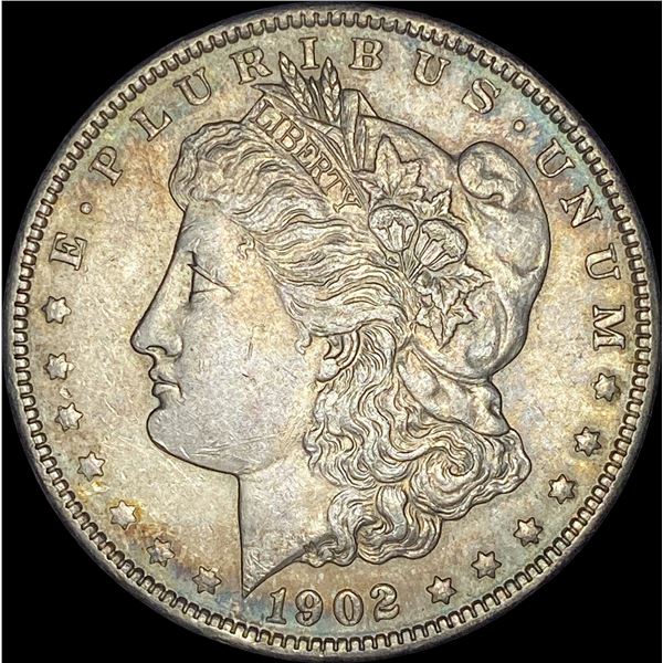1902 Silver Morgan Dollar CHOICE AU