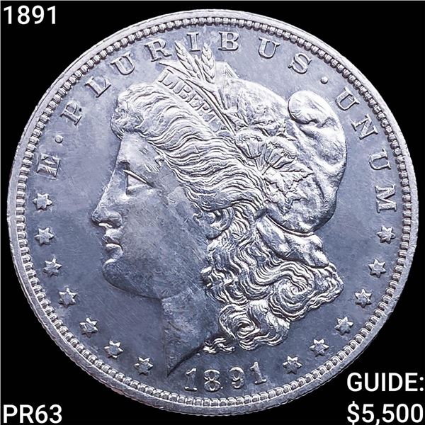 1891 Morgan Silver Dollar CHOICE PROOF
