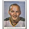 Image 1 : 1972 BILL GOLDSWORTHY 7" x 8.75" MINNESOTA NORTH STARS PROMO PHOTO