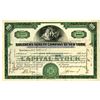 Image 1 : NY. Southern Surety Co. Of New York 1930 I/U Stock Certificate