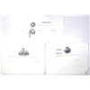 Image 2 : International Proof & Progress Proof Stock Certificate Collection, ca. 1980 to 2000