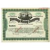 Image 1 : NV. Onondaga Mining Co., ND (1900-20s), Specimen Stock Certificate