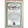 Image 1 : MN. Duluth Street Railway Co. 1900. Specimen Gold Coupon Bond