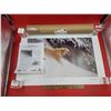 Image 1 : Signed 2009 Show Of Hearts "Momentum" By Robert Bateman