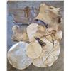 Image 1 : Large Lot Of Hide
