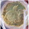 Image 3 : Roll of Uncirculated 2008 Canadian Loonies