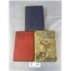 Image 1 : Lot of 3 Antique Books Outlaw Sheriff, The House of Torchy, Etc