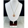 Image 1 : Vintage Gold Chain Marked 1/20 14K G.D. w/ Genuine Stone Pendant Necklaces
