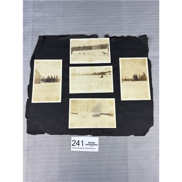 Photo Albm Page of Early Photos Dog Sled Etc. (10 Pcs)