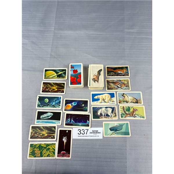 Lot of Red Rose Brooke Bond Tea Cards