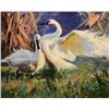 Image 1 : Two Swans by Mike Wise