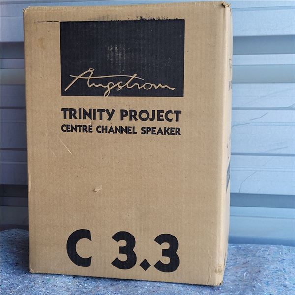 NEW Angstom Trinity Project Centre Channel Speaker C3.3 - 8 Ohm - 100W RMS