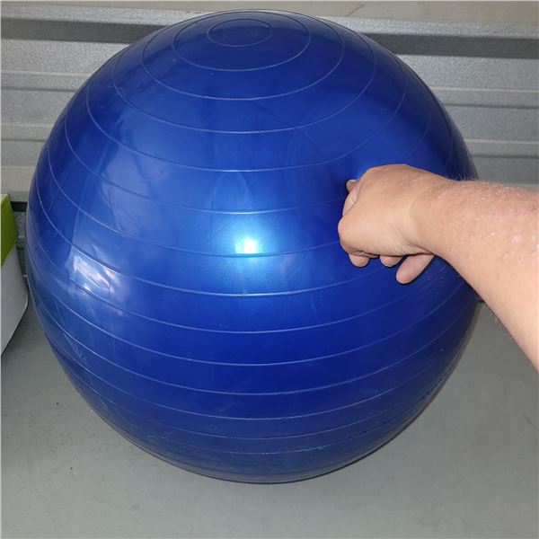 65cm Core Fit Bosu Ball