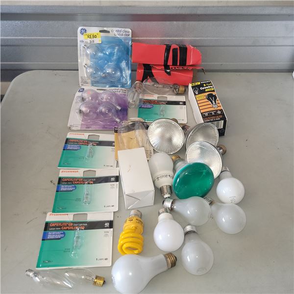 Large Lot of Various Light Bulbs