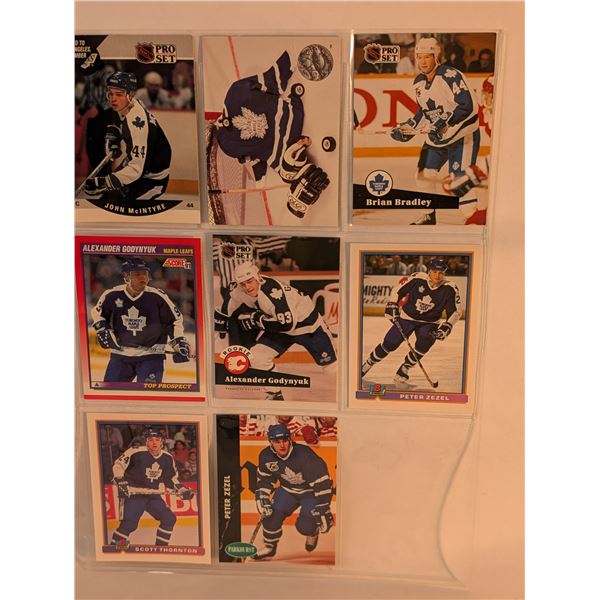 TO Leafs Bradley Zesel McIntyre