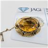 Image 1 : 10KT & 14KT Gold Citrine Botanical Brooch