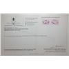 Image 3 : ($13,660 Appraisal) - 27.6 ct Authenticated Kunzite Gemstone