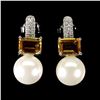 Image 1 : Citrine and Pearl Earrings in 14k White Gold-Plated 925 Sterling Silver