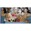 Image 5 : Large collection of vintage Beanie babies