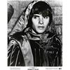 Image 1 : Romeo and Juliet Leonard Whiting signed movie photo