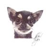 Image 1 : Artist John Krewal signed dog print