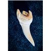Image 6 : Pendant Collection – Carved Bone Skull, Shark Tooth & Boar Tusks