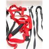 Image 3 : Pet Items Including dog skijoring harness