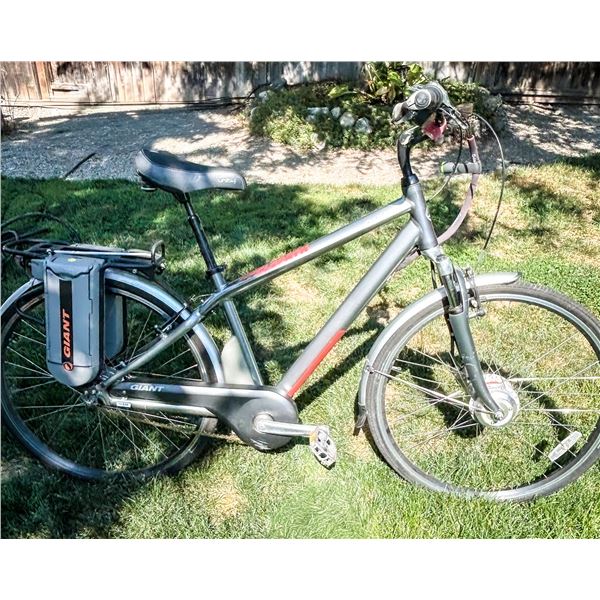 Giant Twist Freedom DX Electric Bike