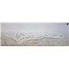 Image 1 : WHITE BEADED NECKLACE
