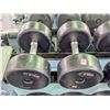 Image 1 : ONSITE: PAIR OF STAK 55LBS DUMBELLS